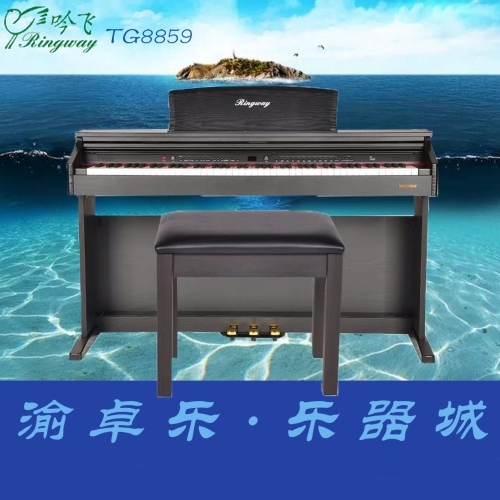 吟飞TG8859重锤电钢琴88键重锤专业演奏家用立式电钢数码电子钢琴